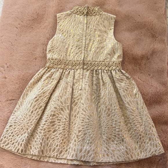 Lilly Pulitzer Mini Francis dress - Picture 5 of 5